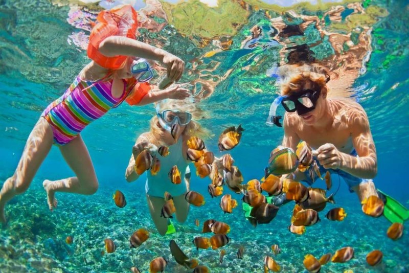 Aerial View of Hon Mot Island Snorkeling Area Aerial photograph showing coral reefs and snorkelers swimming near Hon Mot Island in Nha Trang