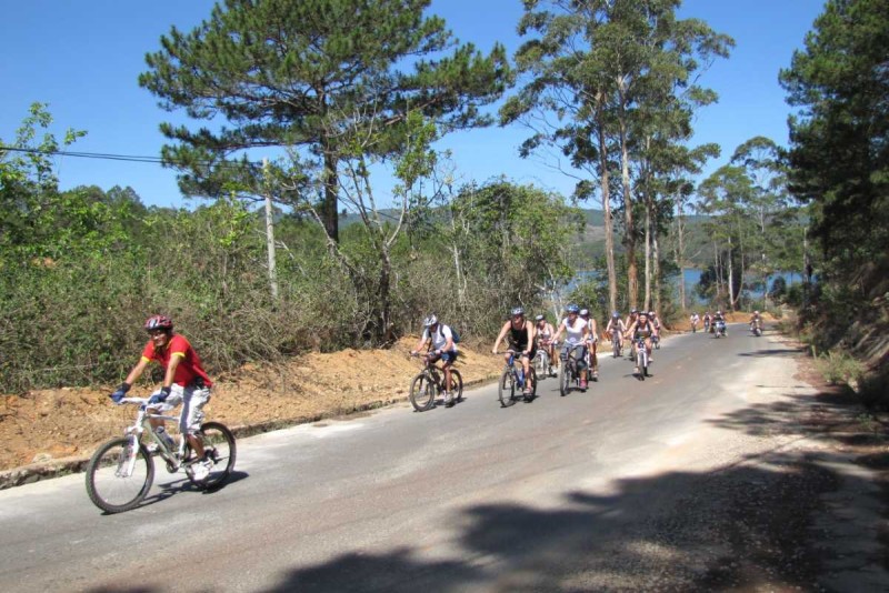 Cycling group touring Nha Trang highland roads A large group of cyclists rides along a paved forest road under the sun near Nha Trang