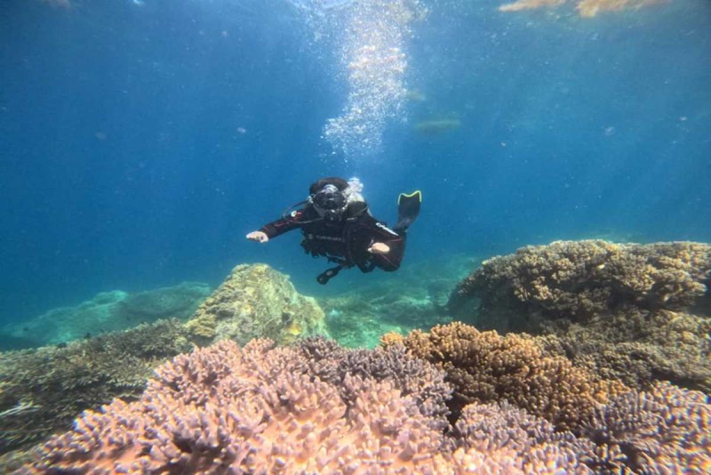 Diving Exploration at Hon Mot Island Nha Trang Scuba diver gliding through clear waters filled with tropical fish at Hon Mot Island