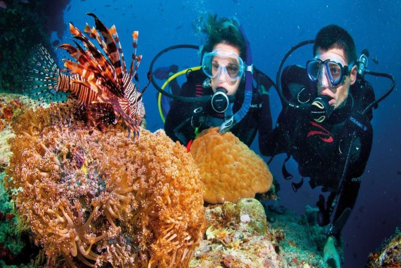 Diving with Marine Life at Hon Mot Island Nha Trang Two scuba divers observing colorful coral formations and marine life at Hon Mot Island diving site