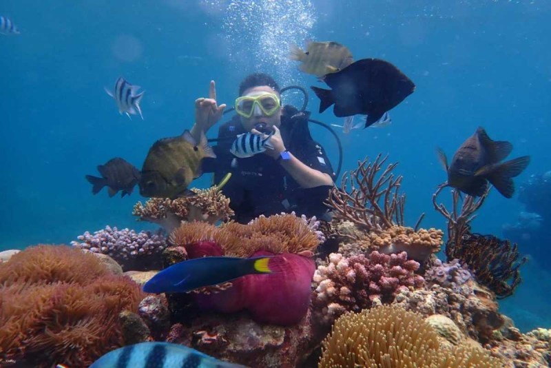 Scuba diver exploring vibrant live coral reefs teeming with colorful fish at Mun Island