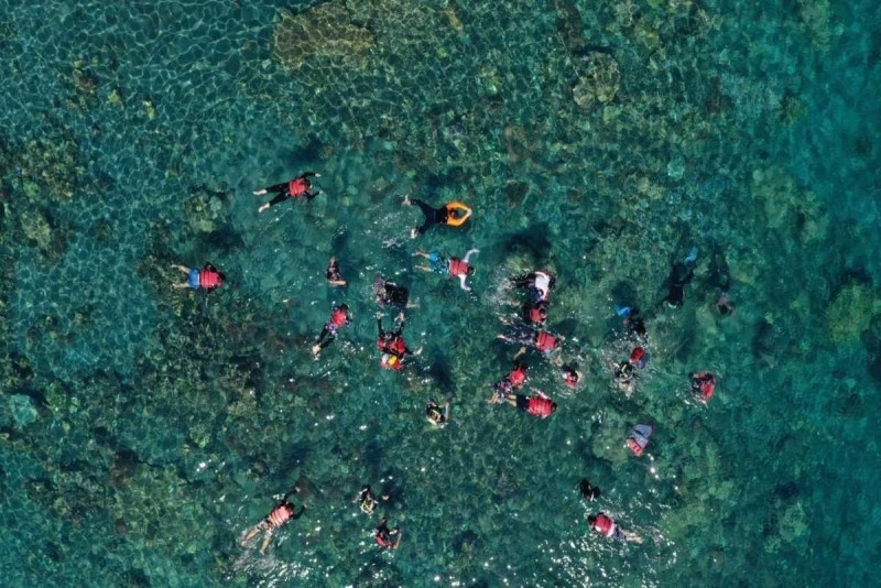 Scuba Diving Adventures at Mun Island Scuba diver exploring colorful coral reef formations at Mun Island, Nha Trang