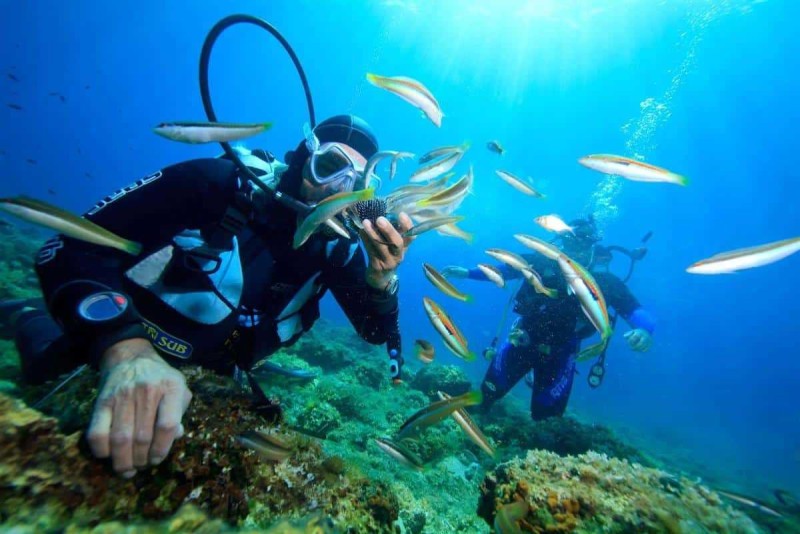 Sea Walking Experience at Hon Mot Island Nha Trang Group enjoying underwater sea walking tour among fish and coral at Hon Mot Island