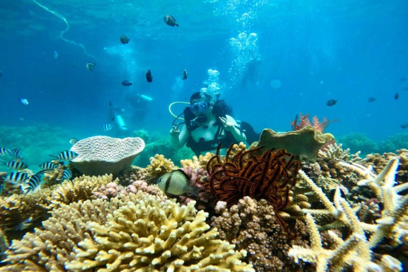 Snorkeling Among Coral Reefs at Mun Island Snorkeler swimming close to healthy coral reefs with tropical fish at Mun Island