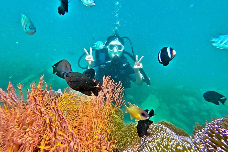 Snorkeling Among Live Coral Reefs Tourists snorkeling above healthy live coral reefs at Mun Island, Nha Trang