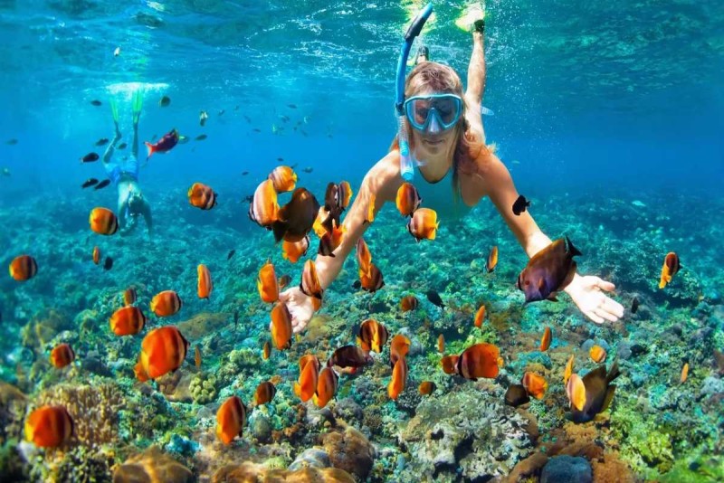 Snorkeling around Mun Island reveals vibrant coral reefs and colorful fish