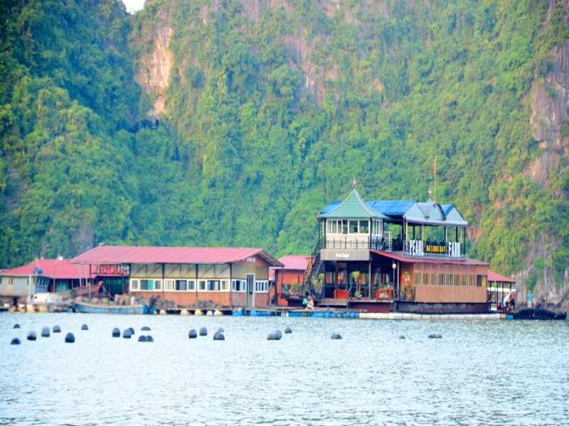 Tranquil View of Tung Sau Pearl Farm A scenic view of Tung Sau Pearl Farm with calm waters and floating structures, highlighting the harmony between nature and tradition.