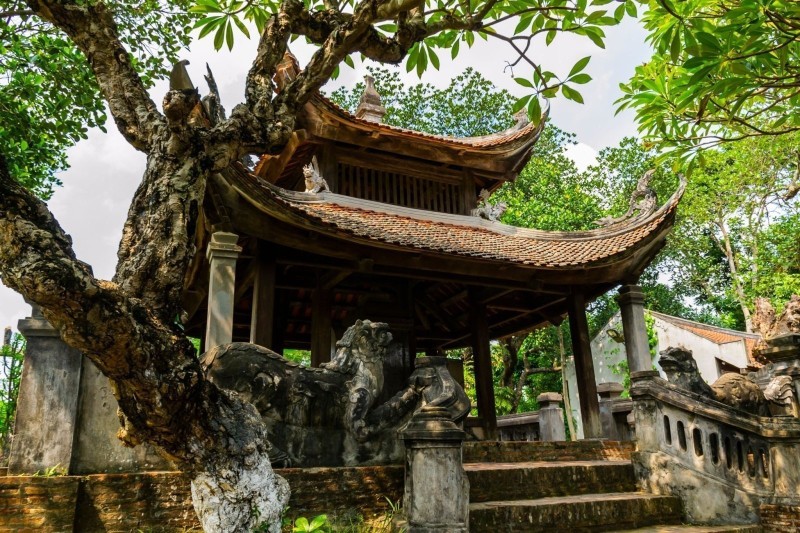 Ancient Temple at Co Loa Ancient Citadel An ancient temple at Co Loa Ancient Citadel, surrounded by trees and stone statues, showcasing traditional Vietnamese architecture