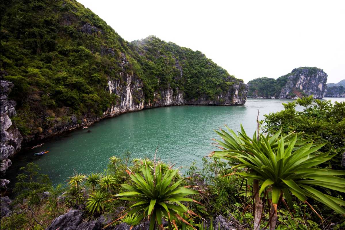 Lush tropical greenery surrounding Ba Ham Lake Halong Bay with limestone cliffs towering in the background.