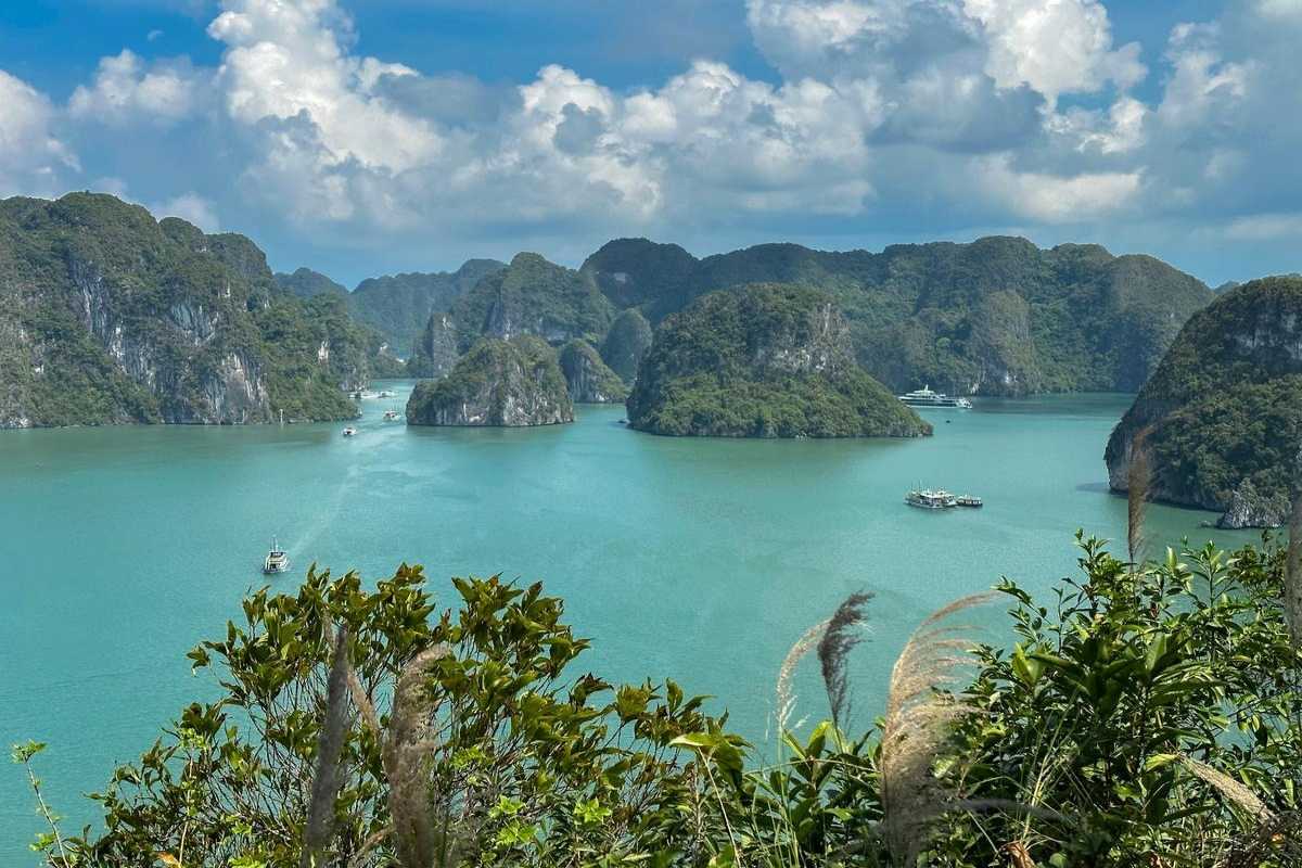 Close-up of natural limestone formations at Ba Ham Lake Halong Bay with lush greenery.