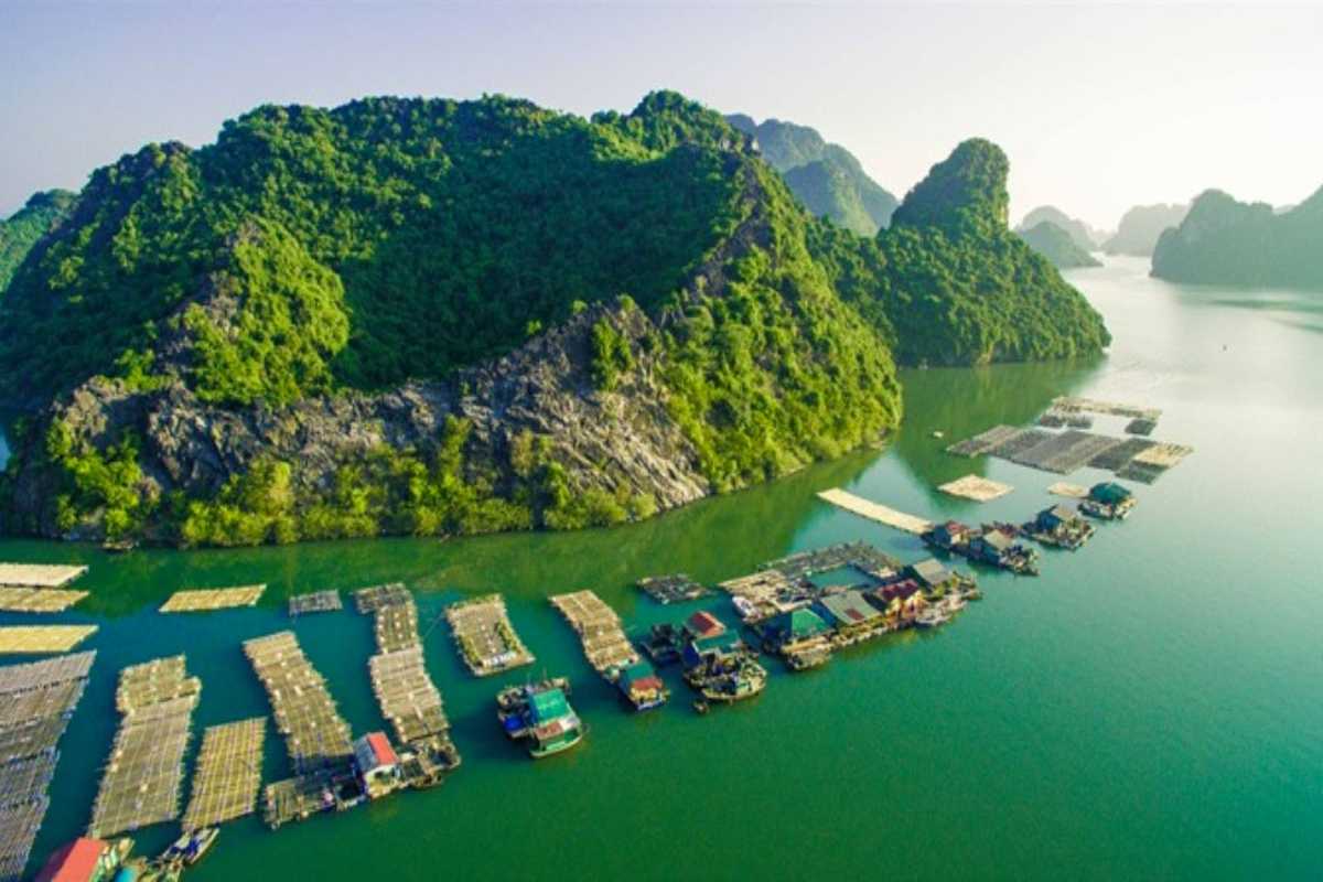 Ba Ham Lake Halong Bay showing the peaceful floating village and surrounding lush limestone karsts and water.