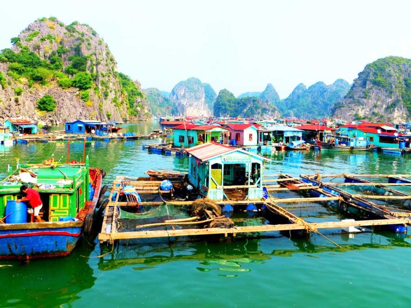 Ba Hang Fishing Village Scenic View with Colorful Boats Colorful boats and floating houses in Ba Hang Fishing Village, Halong Bay, surrounded by scenic limestone mountains.