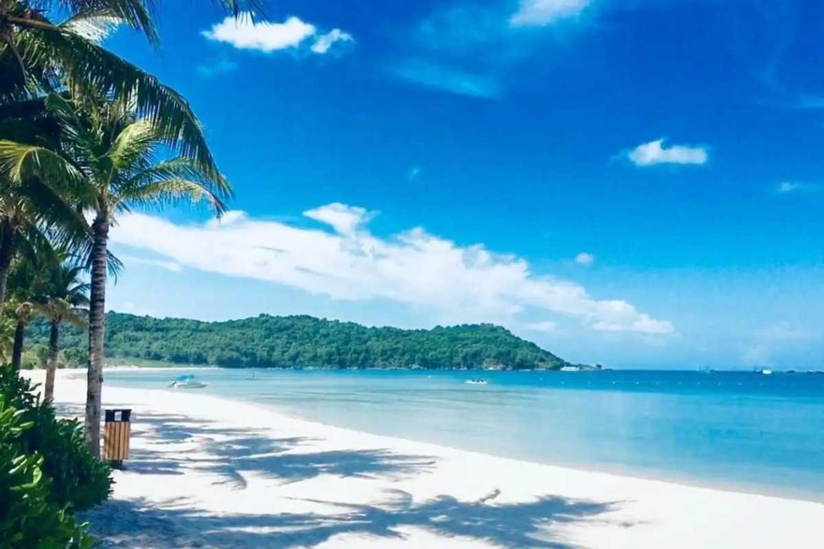 Wide sandy shoreline with palm trees and gentle waves at Bai Dai Beach Nha Trang under a clear blue sky.
