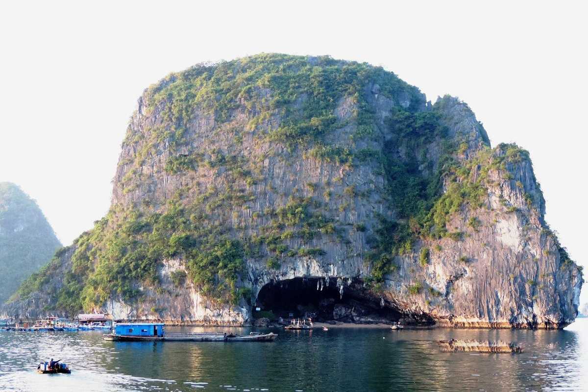 The entrance to Bo Nau Cave in Halong Bay, surrounded by pristine natural landscapes and limestone cliffs.