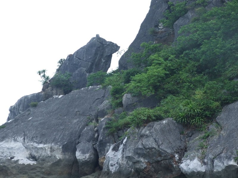 Cho Da Islet - The Guardian of Halong Bay Stone Dog Islet or Cho Da Islet, guarding the waters of Halong Bay, Vietnam