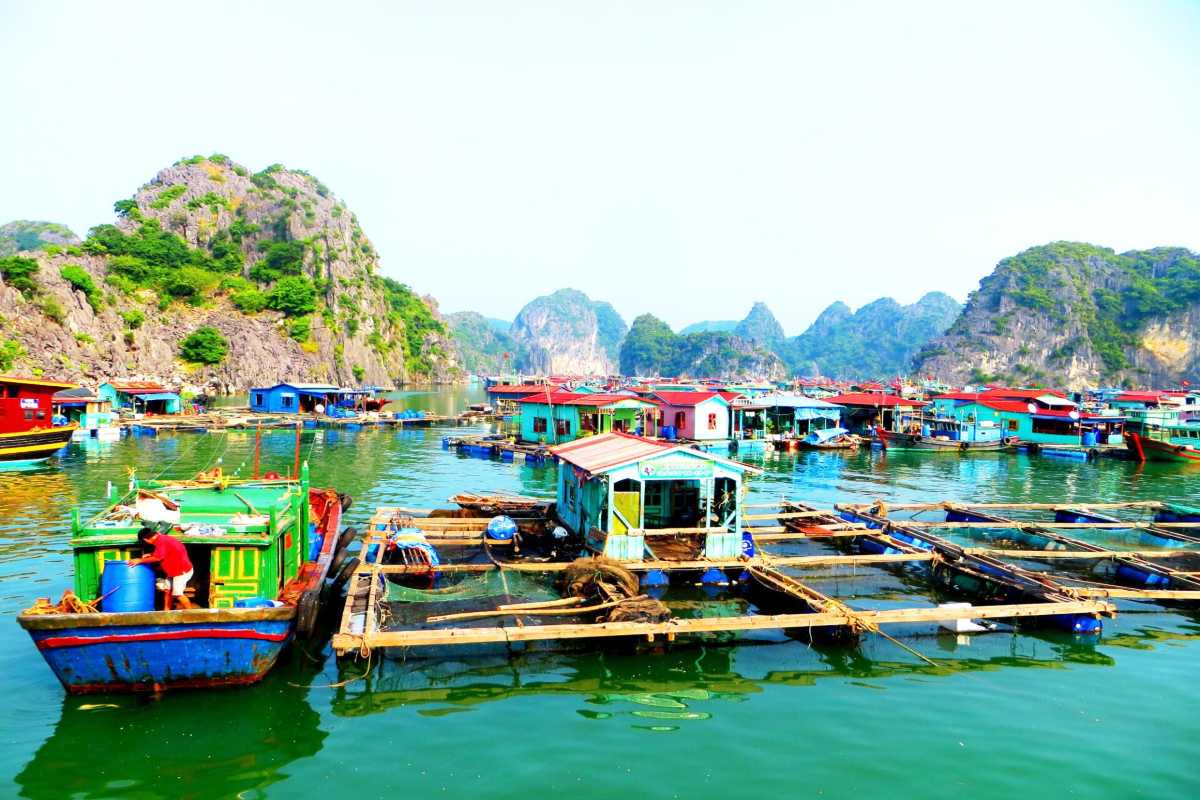 Brightly colored floating houses on water with lush green karsts in Cong Dam Fishing Village