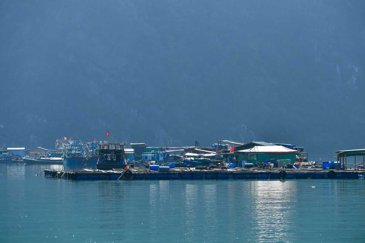 Panoramic view of limestone cliffs and emerald water at Cong Do Island Bai Tu Long Bay, showcasing natural beauty.