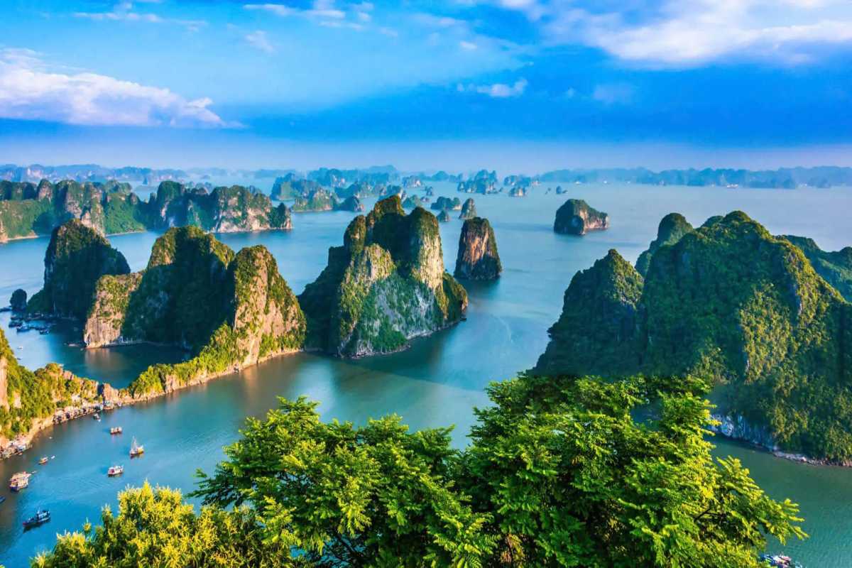 Panoramic view of Cong Do Island Bai Tu Long Bay showcasing lush limestone karsts rising from calm emerald waters.
