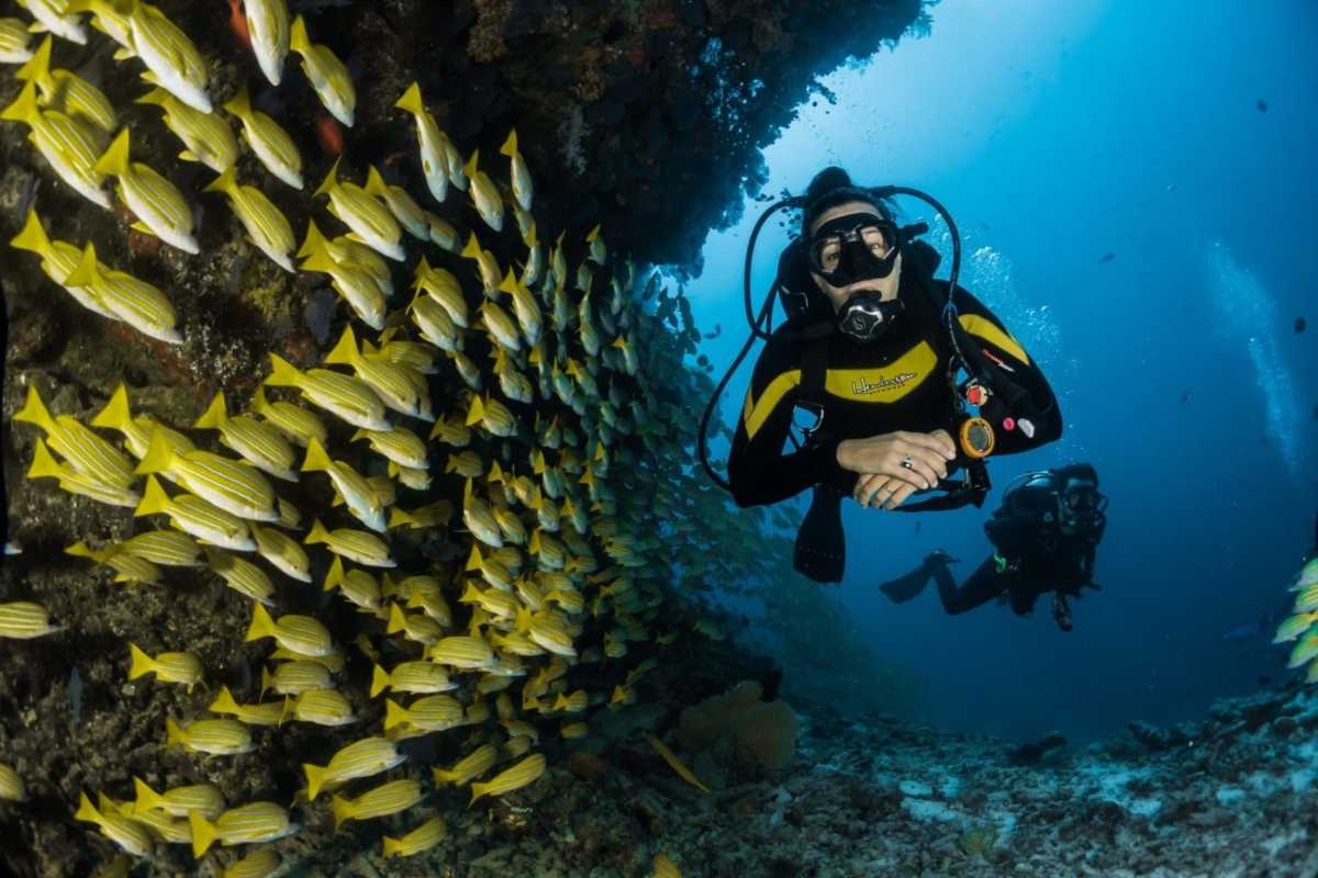 Degraded coral section under conservation Partially bleached coral reef showing signs of stress at Hon Mun Marine Park, Vietnam