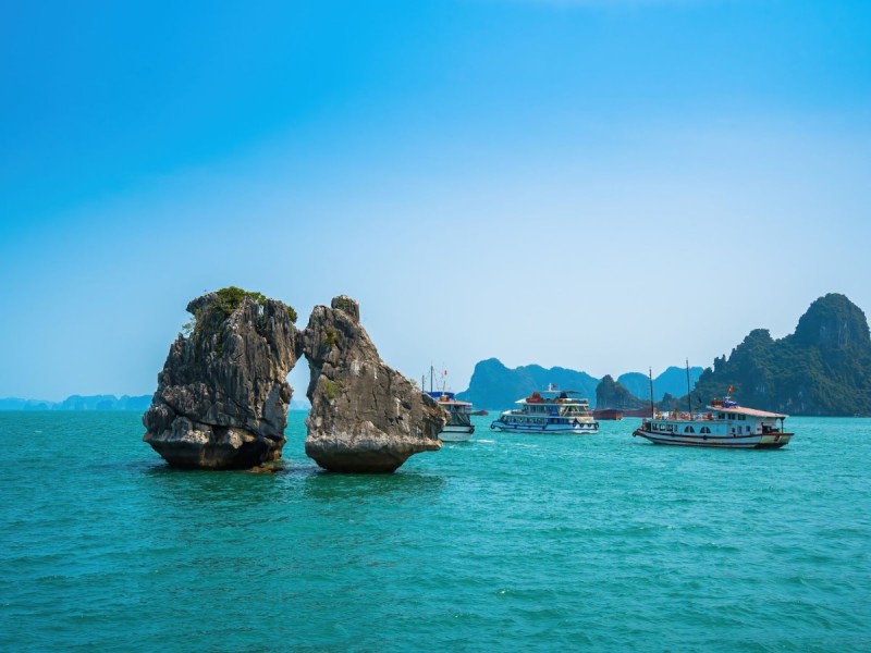 Cruises Surrounding Fighting Cocks Islet Halong Bay Several cruises pass by Fighting Cocks Islet in Halong Bay. The islet's unique shape can be seen as boats explore the bay.