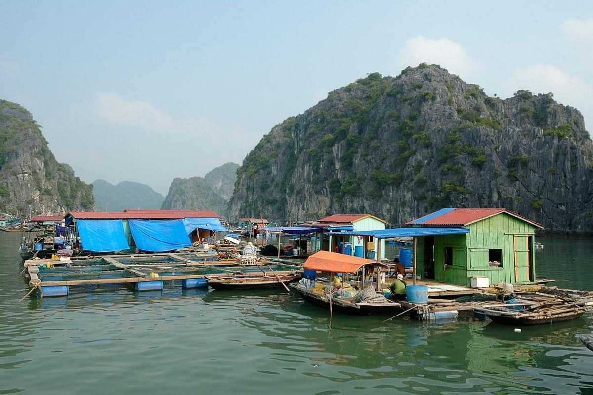 Tourists enjoying a wooden boat ride through the tranquil waters of Cua Van Floating Village Halong Bay surrounded by cliffs