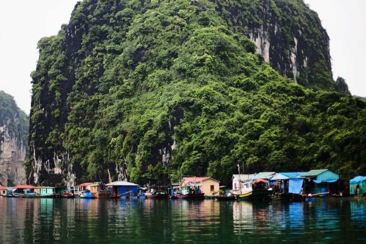 Cluster of floating homes with colorful roofs at Cua Van Floating Village Halong Bay surrounded by water