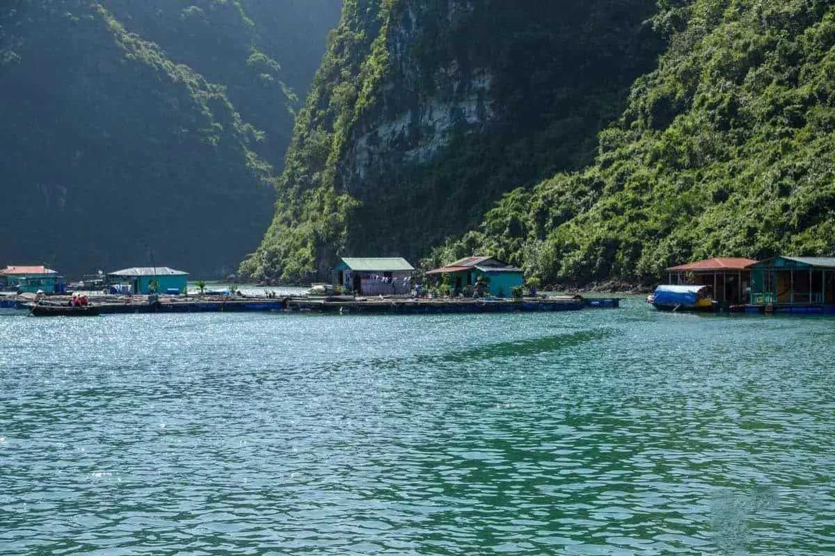 Group of kayakers paddling near floating homes and limestone formations at Cua Van Floating Village Halong Bay
