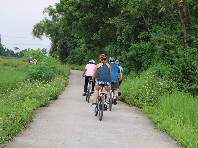Cycling Through Banana Farms Cyclist riding through banana farms and lush paths on Banana Island