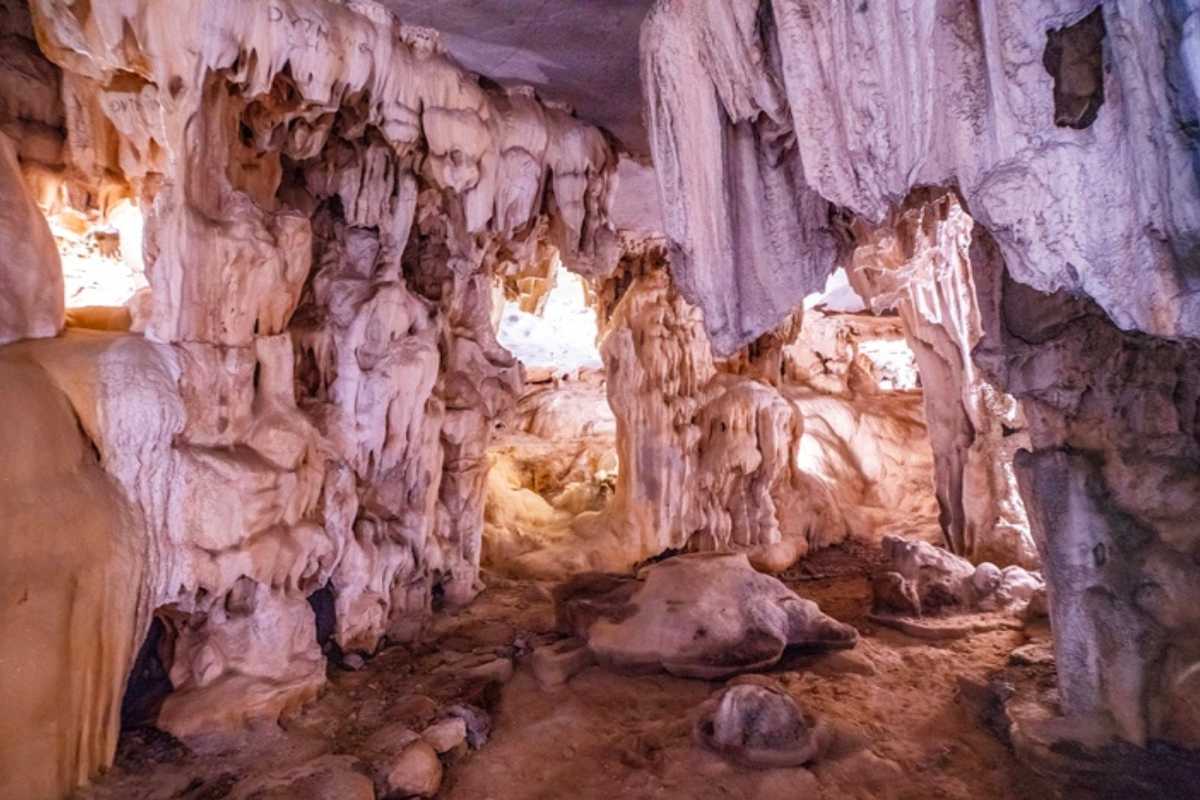 Detailed view of stalactites and stalagmites inside Dau Go Cave Halong Bay illuminated with colorful lights.