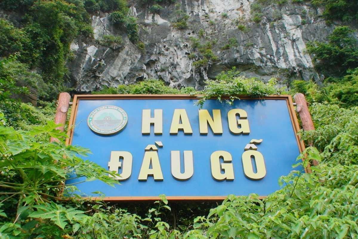 Entrance sign of Dau Go Cave Halong Bay surrounded by green plants and rocky cliff backdrop at the cave entrance.