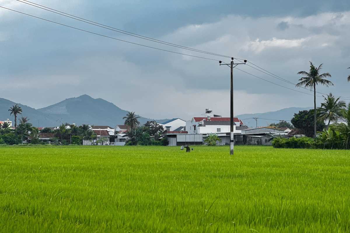 Village houses beside Diên Điền Rice Fields Green rice paddies stretching toward Diên Điền village homes and distant mountains