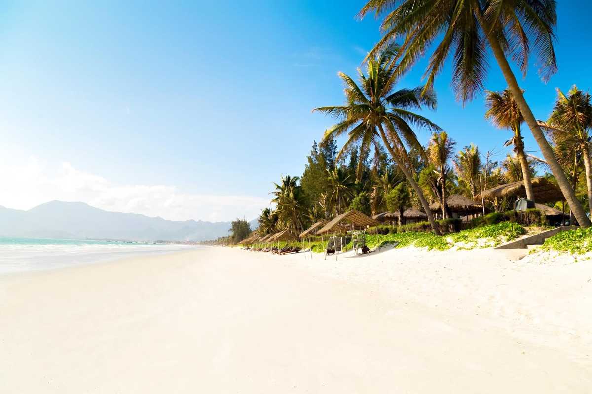 Palm-Lined Quiet Zone at Doc Let Beach Pristine stretch of Doc Let Beach framed by palm trees and rustic huts along untouched white sand.