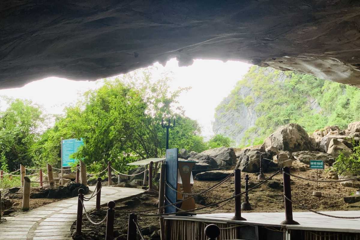 View of the entrance at Drum Cave Halong Bay showcasing limestone formations and the pathway leading inside.