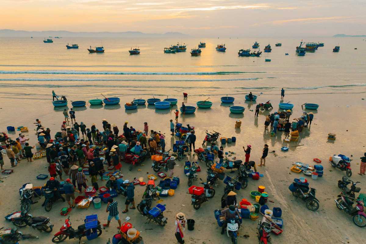 Early morning fish auction and market at Ninh Thuy Fishing Village Early morning fish auction at Ninh Thuy Fishing Village with fishermen and buyers on the beach