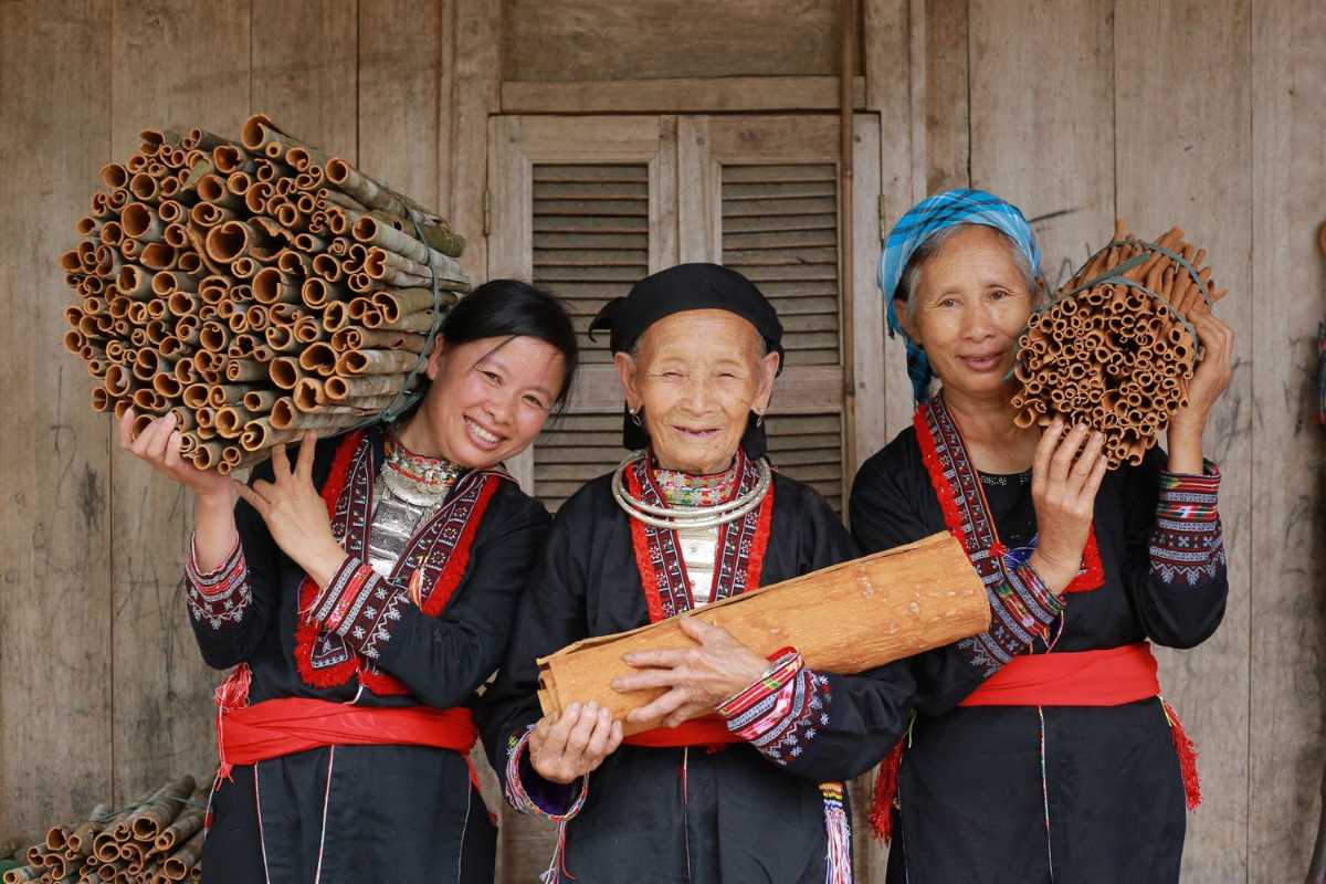Three ethnic women proudly display bundles of cinnamon bark and sticks at Coc Ly Market in Lao Cai Province.