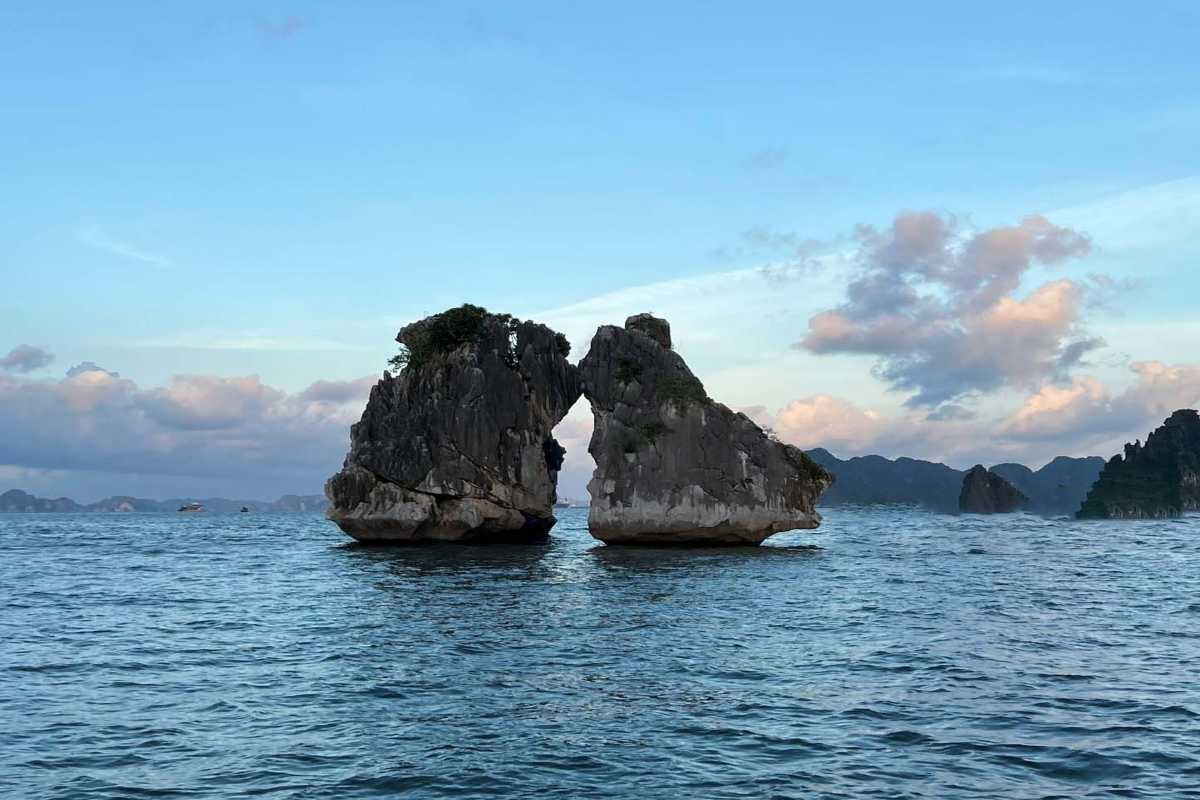 Detailed close-up of Fighting Cocks Islet Halong Bay limestone rocks covered with patches of green vegetation.