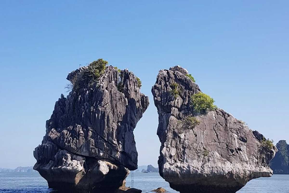Close-up view of Fighting Cocks Islet Halong Bay limestone formations with greenery on top