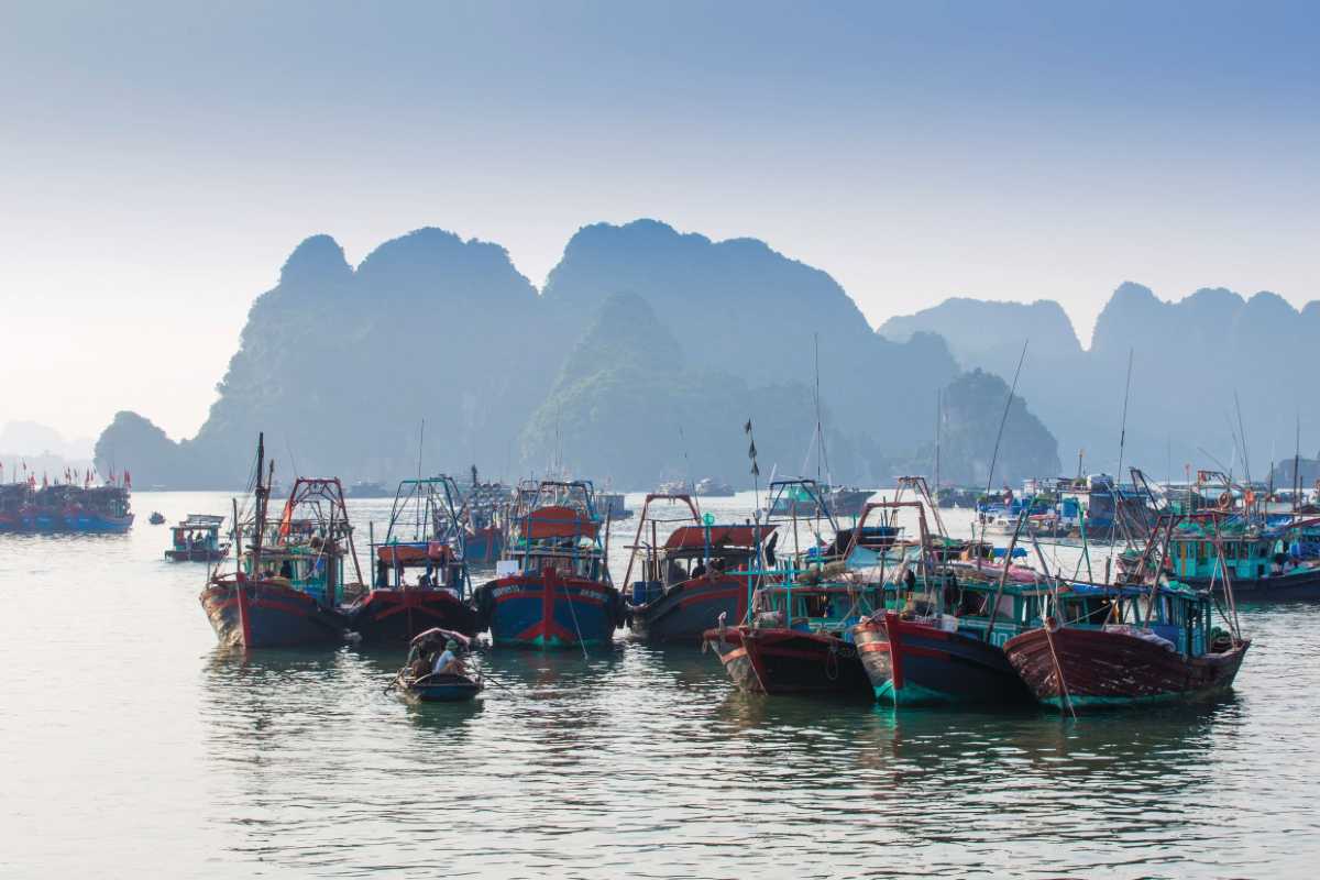 Traditional fishing boats docked at Cong Dam Fishing Village with karst cliffs in background