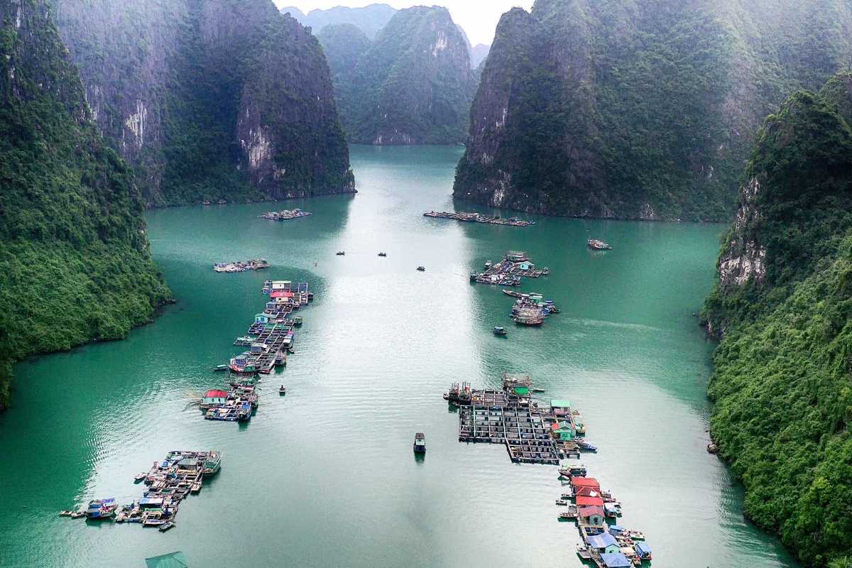 Floating fish farms in the emerald waters of Cong Dam Fishing Village surrounded by limestone islands