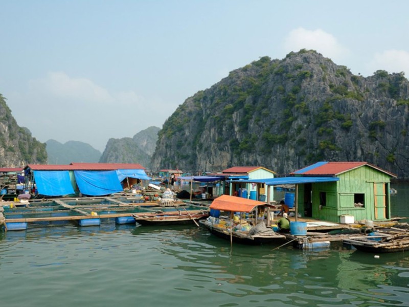Floating Houses of Hoa Cuong Fishing Village A view of floating houses with blue tarps in Hoa Cuong Fishing Village, surrounded by limestone cliffs.