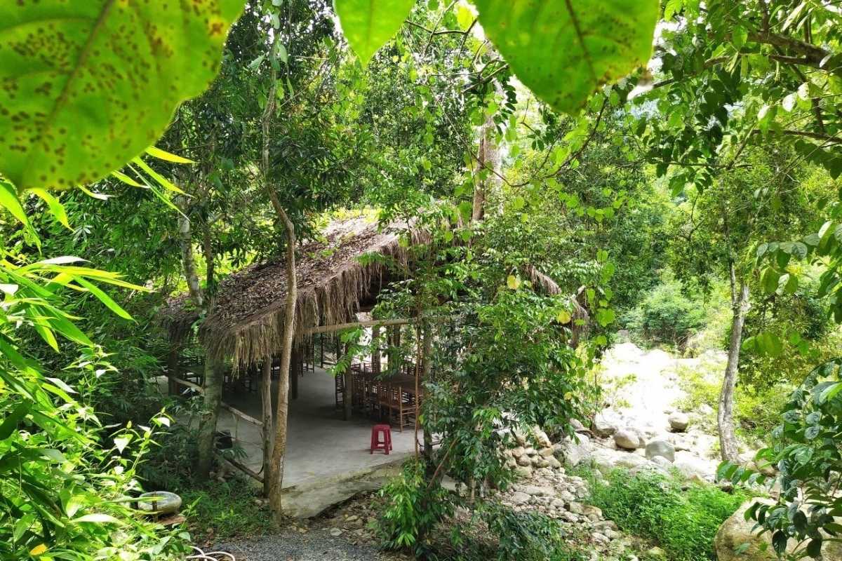 Thatched outdoor picnic shelter surrounded by lush greenery in Kong Forest at Hon Ba Nature Reserve