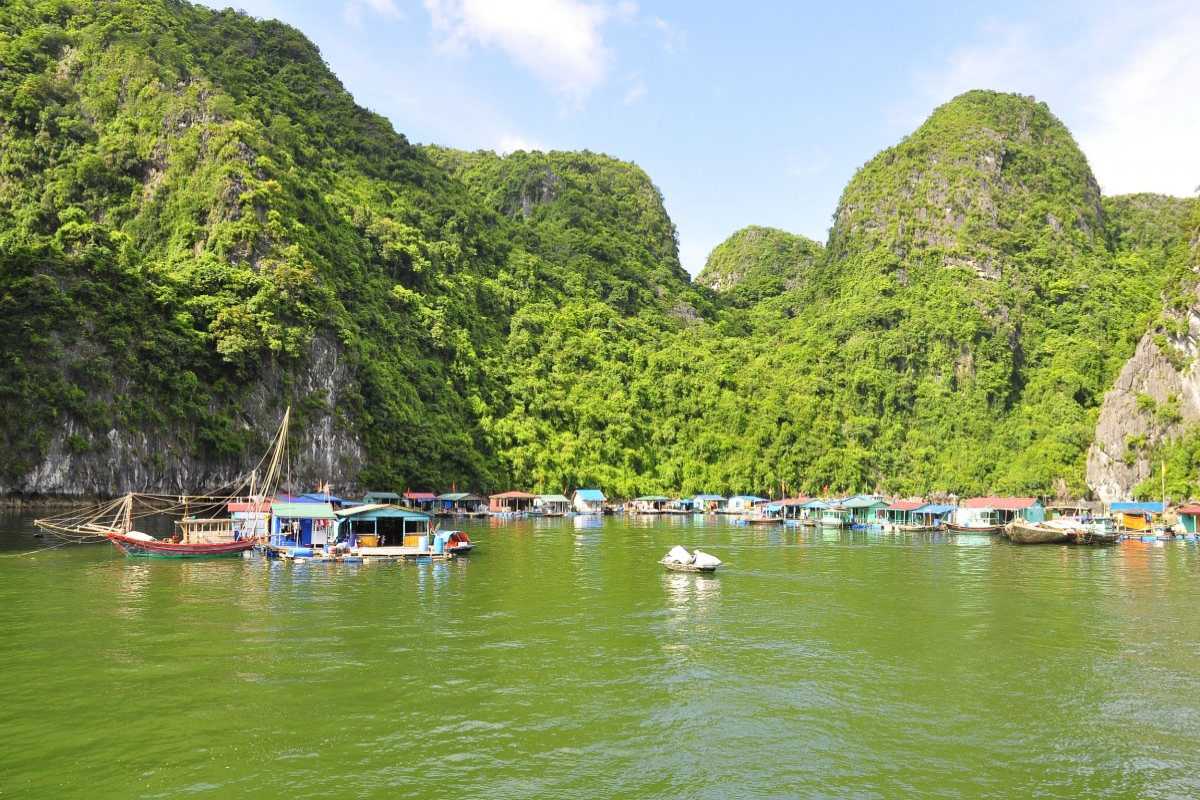 Tranquil bay area with floating houses and lush cliffs in Cong Dam Fishing Village