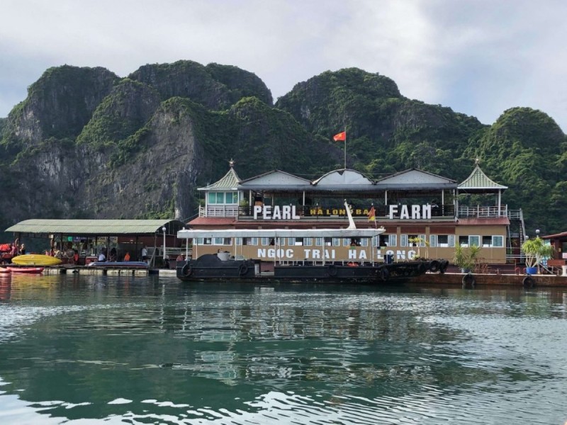 Pearl Farm in Halong Bay Tung Sau Pearl Farm in Halong Bay with limestone cliffs in the background.
