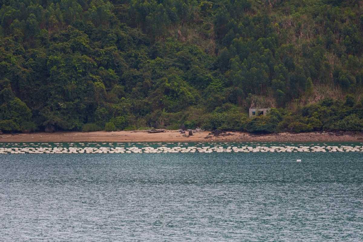 Coastal view of oyster farms and a small village nestled at the base of forested hills on Quan Lan Island