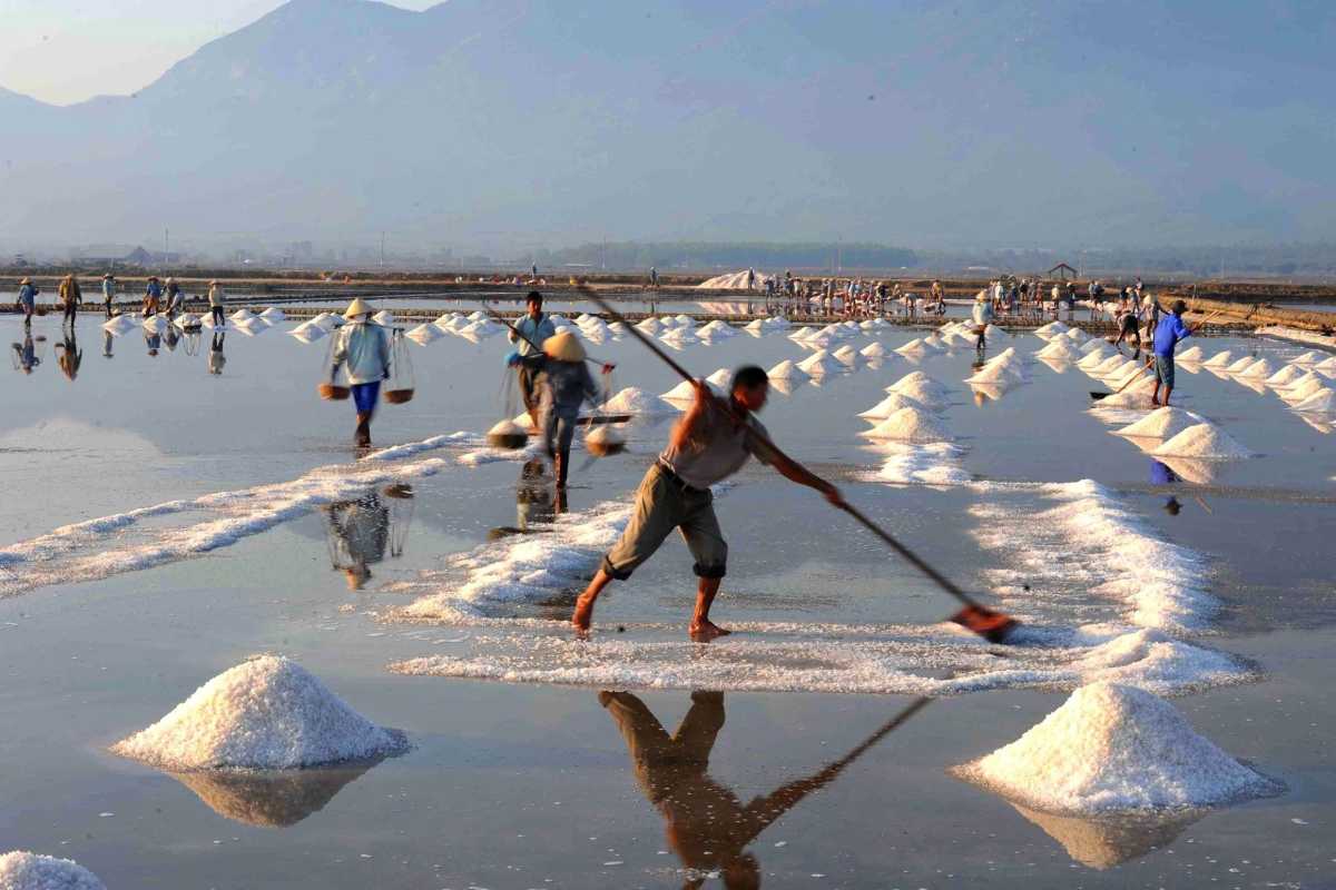 Salt farmers working manually to harvest salt crystals at Hon Khoi Salt Fields near Nha Trang.