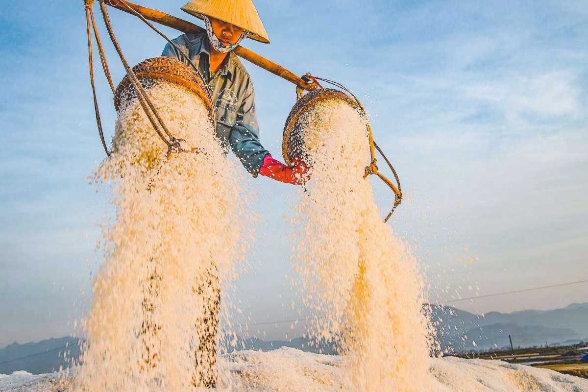 Salt Transport at Hon Khoi Salt Fields Salt being transported in baskets carried by farmers at Hon Khoi Salt Fields near Nha Trang.