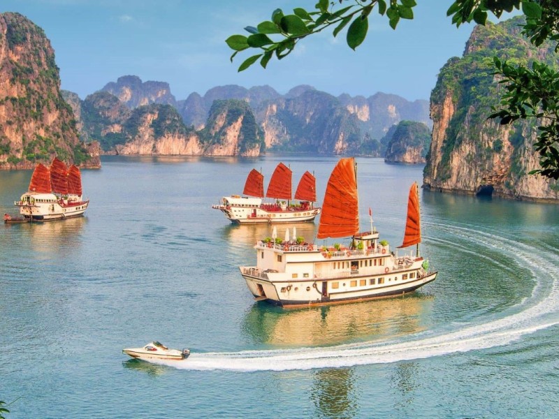 Scenic Cruise to Tung Sau Pearl Farm in Halong Bay Cruise boats sailing through Halong Bay on the way to Tung Sau Pearl Farm, surrounded by limestone karsts