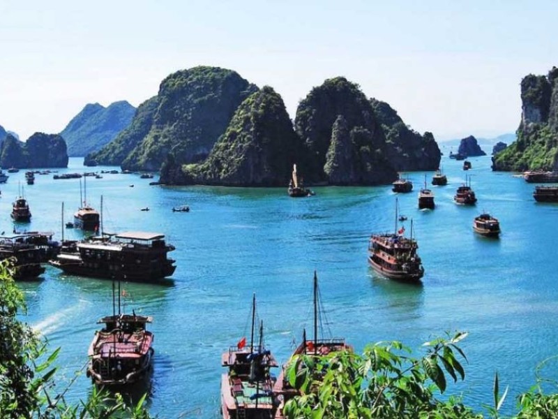 Scenic View of Hoa Cuong Fishing Village in Vietnam A panoramic view of Hoa Cuong Fishing Village in Vietnam, with traditional wooden boats anchored on a serene turquoise bay surrounded by lush green limestone karsts.
