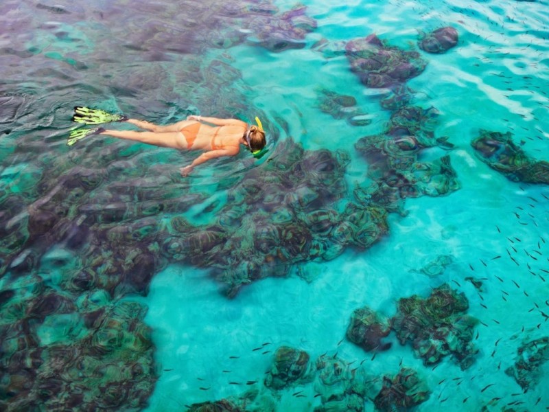 Snorkeling off Cong Do Island's coral reefs A snorkeler exploring the vibrant coral reefs off Cong Do Island in Bai Tu Long Bay.
