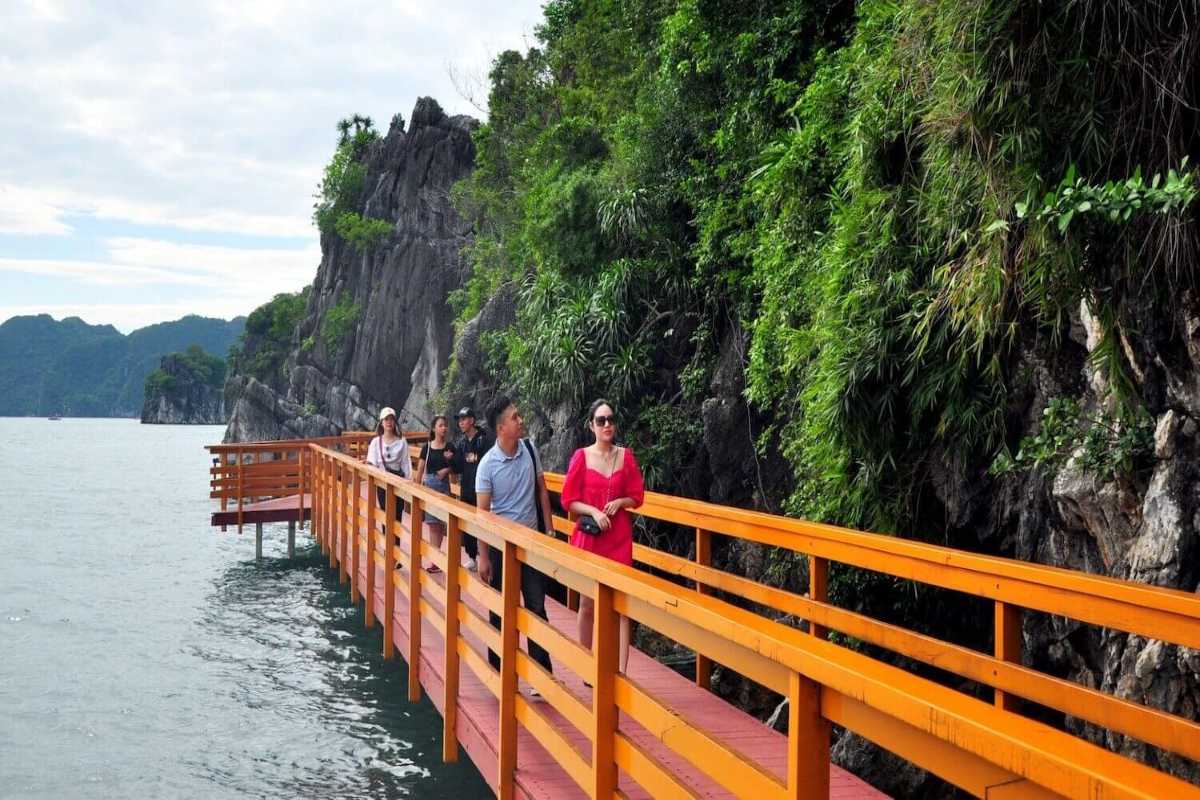 Aerial view of Soi Sim Island Halong Bay showing a pristine sandy beach surrounded by green cliffs